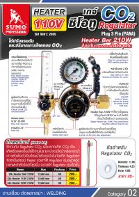 CO2 Heater 110V
